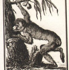 1795 Deux petites gravures