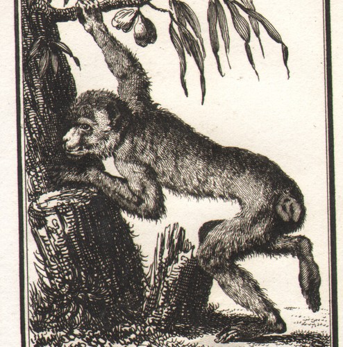 1795 deux petites - petites, gravures