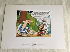Sérigraphie Astérix et la