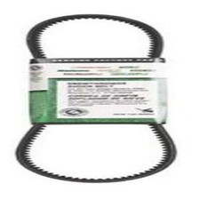 Courroie d'entraînement MTD