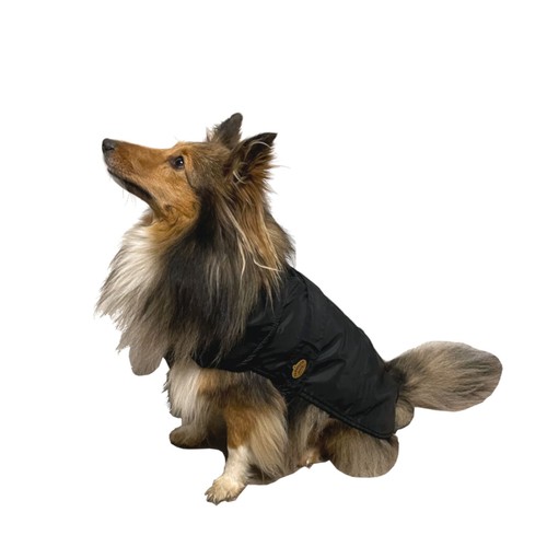 Manteau pluie pour chien - manteau,