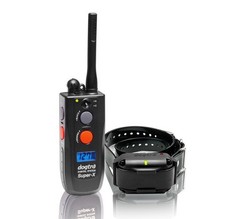 Collier de dressage Dogtra