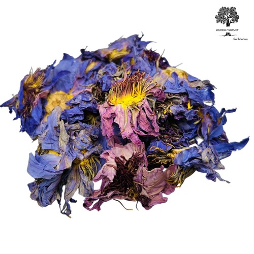 Fleurs lotus bleues - de,