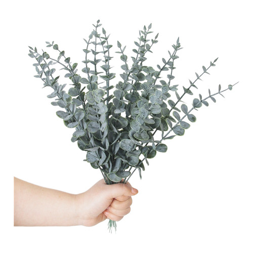 Bouquet eucalyptus léger - d'eucalyptus,
