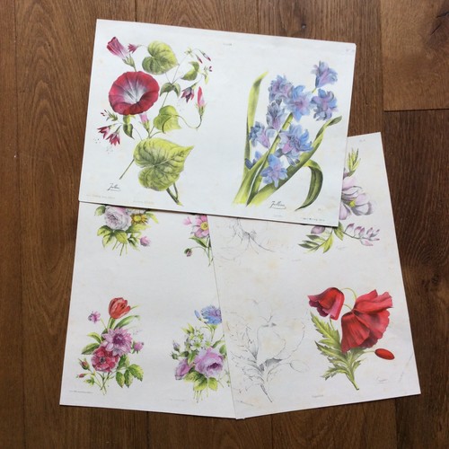Gravures anciennes - 3,