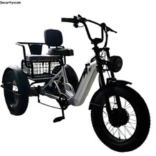 20" Tricycle électrique 500W 48V Freight / Alliage en aluminium en E-Trike habit