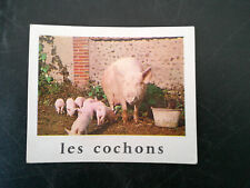 CARTE JEU DE SOCIETE ANCIEN LES COCHONS