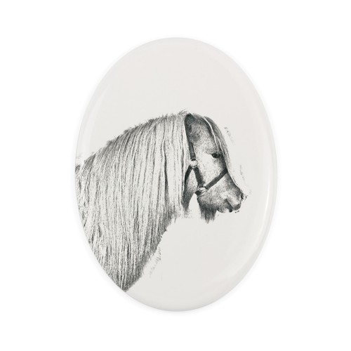 Poney shetland dalle - poney, la
