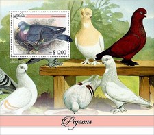 PIGEONS Birds Pigeon Bird MNH 1v-Stamp Sheet #2370 (2023 Liberia)