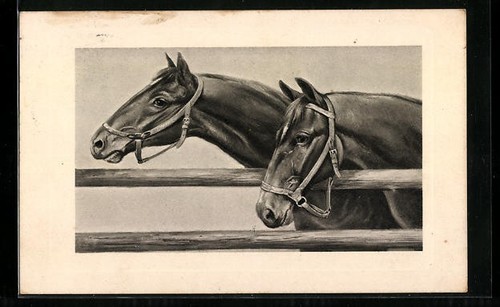 Carte postale deux chevaux - carte,