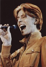 David BOWIE  Photos  20X30cm