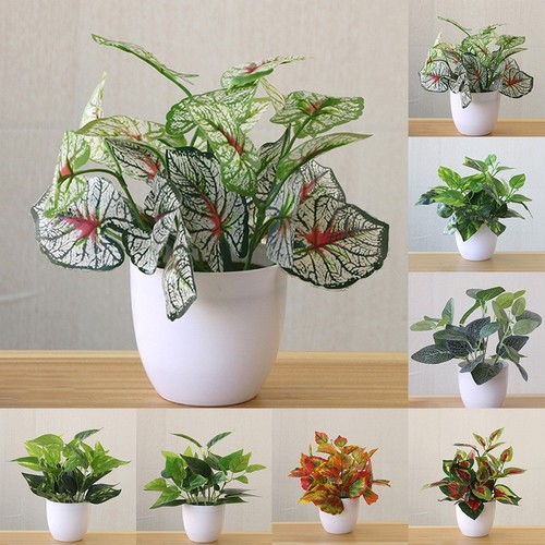 Magnifique plante artificielle