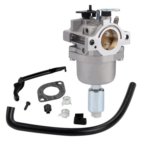 Carburateur pour briggs - carburateur, &