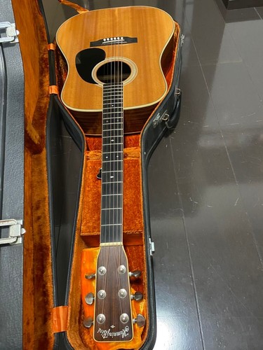 Guitare acoustique tokai - acoustique,