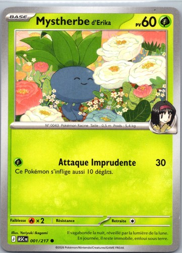 Cartes pokémon héros - fr,