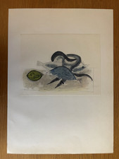 Pablo PICASSO : Nature morte