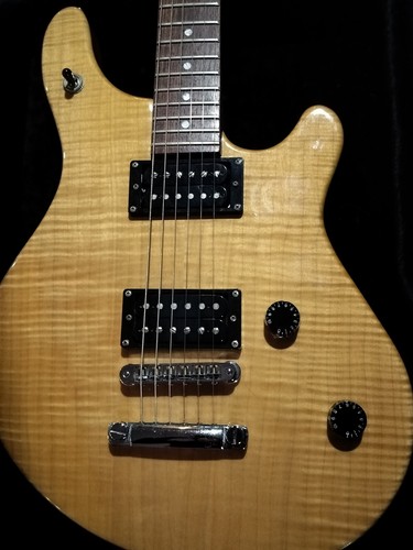 Washburn usa custom shop wm100 - washburn,