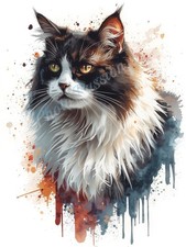 Photo A4 Black White Maine