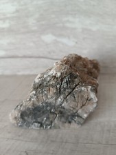 Roche Naturelle pour Aquarium ou Aquaterrarium - Poisson Reptile Tortue (1270)