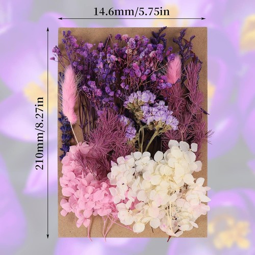 Fleurs séchées packaging - séchées,