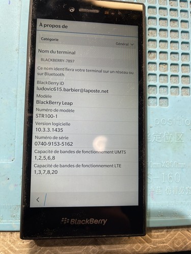 Blackberry leap bloque - leap,