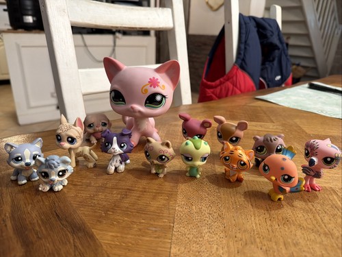 Lot petshop chien - lot,