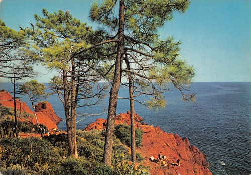 Esterel mes roches rouges - 06,