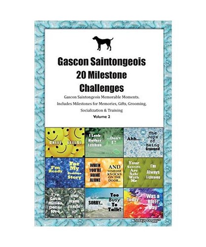 Gascon saintongeois - gascon,