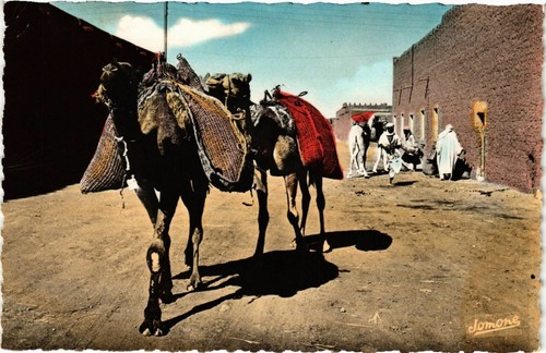 Cpa algeria une rue a - cpa,