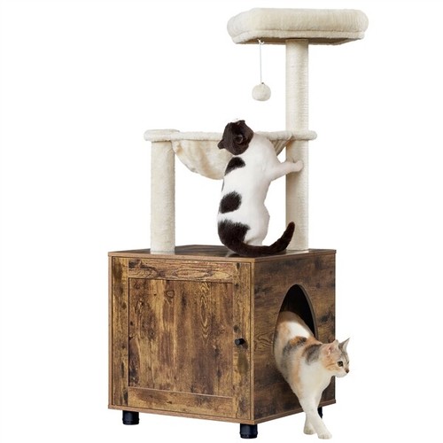 Petit arbre chat avec - petit,