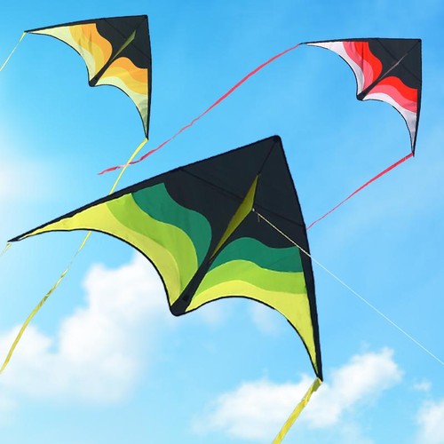 Large delta beach - beach, kite