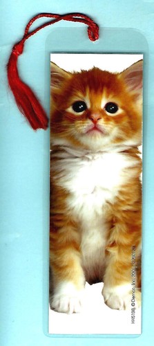 Marque page chaton gingembre - marque-page,