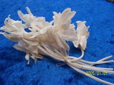 Ancien bouquet de fleurs