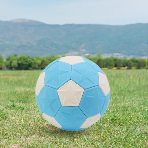 Ballon football taille 5 - ballon,