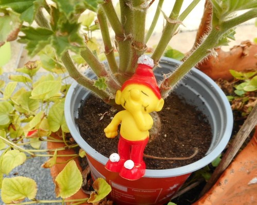 Empire gnome moqueur yeux - empire,