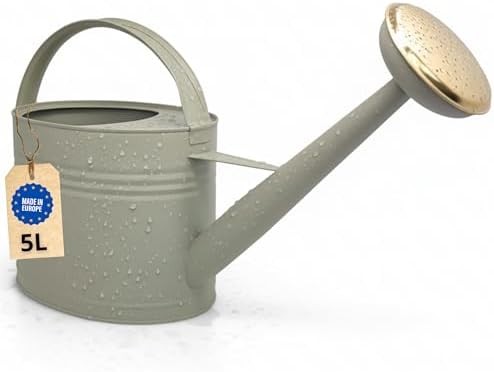 Arrosoir zinc galvanisé - arrosoir,