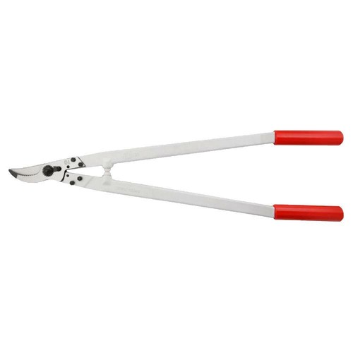 Coupe branches felco - felco, 21