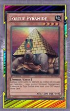Tortue Pyramide LCYW-FR245