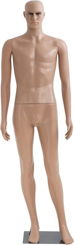 Male mannequin full body - male,