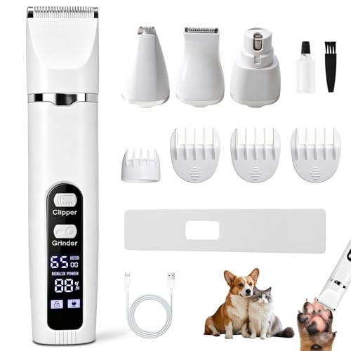 Kit toilettage chien - en, 1