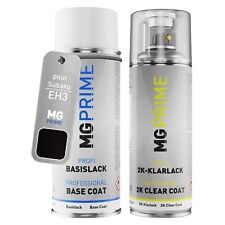 Peinture Voiture kit bombe