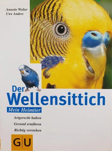 Perruche ondulée mon - perruche,