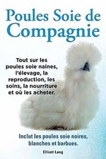 Poules soie de compagnie. Tout