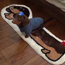 Tapis teckel Adorable chiot