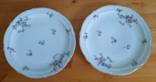 2 assiettes porcelaines de