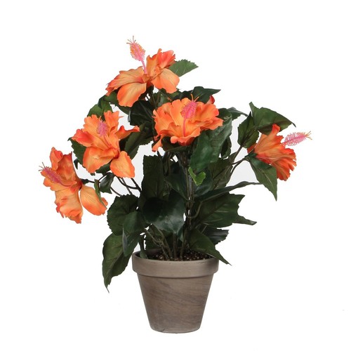 Mica decorations plante - mica,