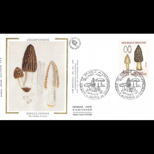 Fdc soie champignons - champignons,
