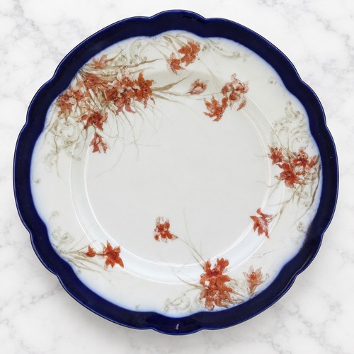 Assiette haviland limoges feu - haviland,
