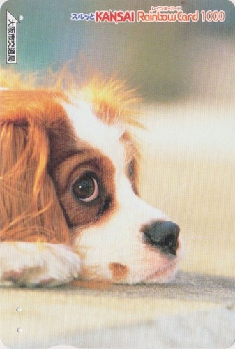 Carte japon animal - japon,