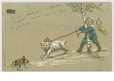 DOGS.BOY HAVING HIS DOG RUNNING AFTER AN INSECT ON A LEASH